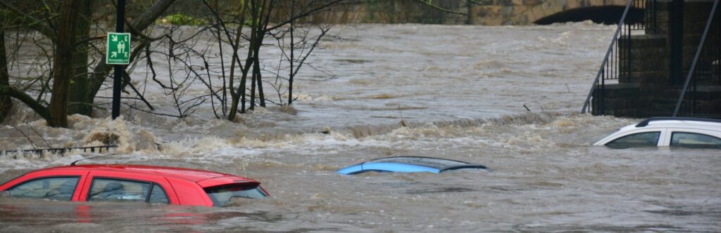 car on body of water